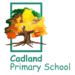 New Forest Childcare Club Cadland Primary School